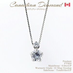 yI11/25-20%OFFN[|zɏ߂JifBA_ChDJ[ ꗱ_C y_g 0.30ctUP & 0.03ctUP [PT950] [^:d-654427] dJ[ N[| Z[  [NC_]