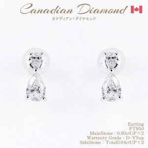 yI11/10-20%OFFN[|zɏ߂JifBA_ChDJ[ sAX 0.30ctUP & 0.04ctUP ×2 [PT950] [^:d-670715PC] dJ[ N[| Z[  [PC_]