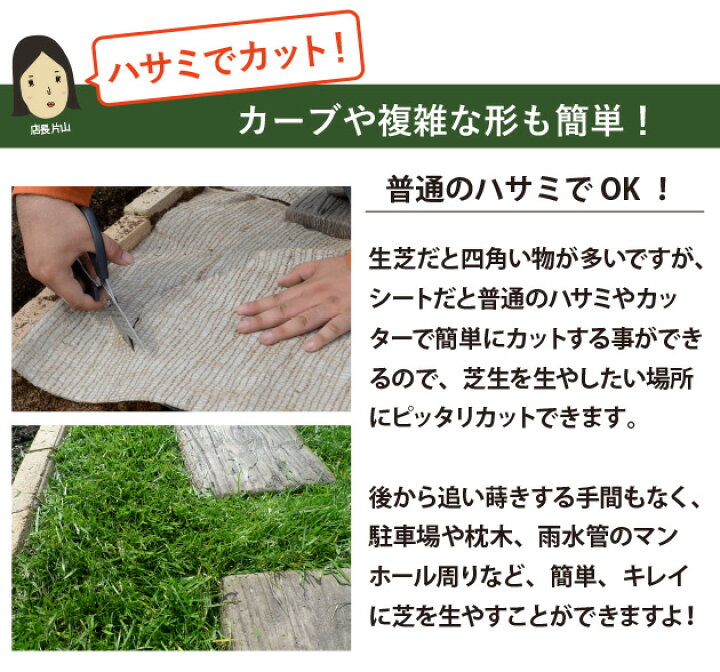 楽天市場】安く天然芝にしたいなら！貼るだけ！ 芝生シート 5m×2ロール 