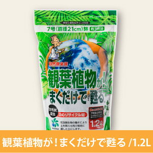 [RpȊw] ϗtAI܂S 1.2L yǎ  yւ }`O@Aւ Ex[^ pL RE