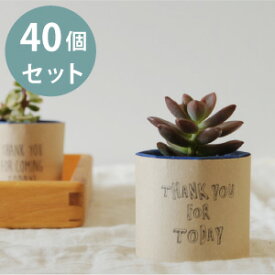 プチギフト 多肉植物 セット 40個 {フォントデザイン} 植物 ラッピング ギフト おしゃれ プレゼント 結婚式 二次会 ウェディング 披露宴 海外 大人 オシャレ お洒落 ナチュラル 送料無料 シンプル 人気 スタイリッシュ かわいい 可愛い カワイイ 花嫁 200円 300円