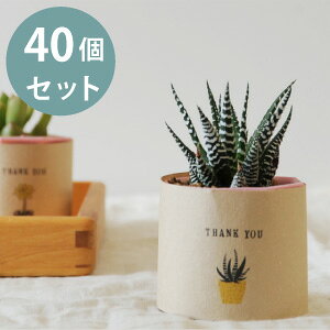 v`Mtg A Zbg 40 ȃCXgfUC A bsO Mtg  v[g mxeB  񎟉 EFfBO I IV  i` 