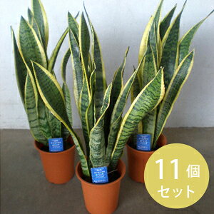 TXxA gmI 4 (4 12cm|bg) 11Zbg@[c] mxeB Mtg  LOi ii ei@ϗtA [H]