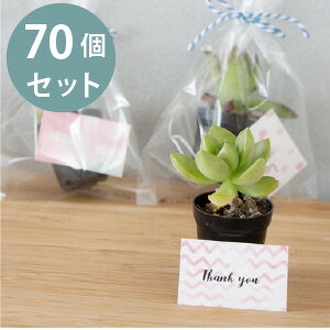 v`Mtg 70Zbgm3cm|bgn@~jTCY A@A bsO Mtg  v[g mxeB  񎟉 EFfBO I IV  i` 