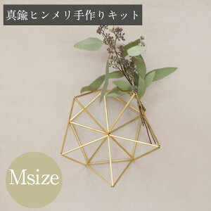 yLbgz^J̃q@ǂ^Cv@[X iType3)@MTCY }jAt kCeA@EFfBOV[ K[h hCt[ EH[fR Ǌ|@