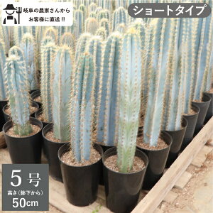 T{e@AYEX@V[g^Cvi50cmj@5Vzj ^@CeA@@zj@A@ _꒼lC@@I@bNK[f@hC