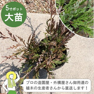 mYҒno[n[o[ 15cm|bg ΐjtOhJo[ Á@Rjt@[nCrNVmIOn