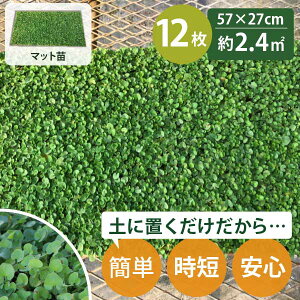 _CJh }bg m2.4ĕn c 27cm×57cm 12Zbg OhJo[ ~NT P[X̔ fBRh _CRh YҒ   ܂Ƃߔ v  A Ϗ 