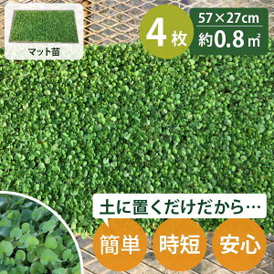 _CJh }bg m0.8ĕn c 27cm×57cm 4Zbg OhJo[ ~NT P[X̔ fBRh _CRh YҒ   ܂Ƃߔ v  A Ϗ  