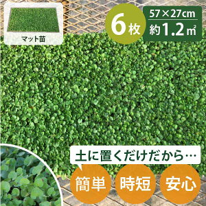 _CJh }bg m1.2ĕn c 27cm×57cm 6Zbg OhJo[ ~NT P[X̔ fBRh _CRh YҒ   ܂Ƃߔ v  A Ϗ  