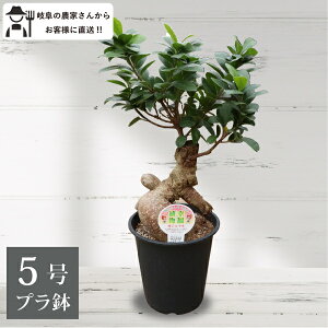 KW}@5@ϗtA@@Vzj ^@CeA@@zj@A@ _꒼mGn@@c@v