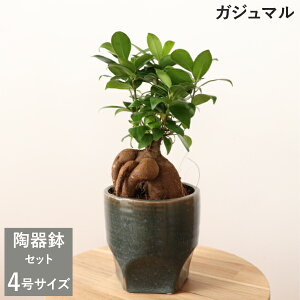 m̔ZbgnKW}@4@1@CeAO[@@[G]