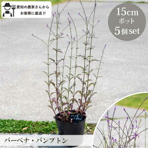 o[xiEovg 5 15cm|bg c YҒ h  c N OhJo[@i`XeBbN [gm]