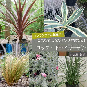 bNK[fZbg mDn 55Zbg {3iɌhI[W[vcvXI15-18cm|bg S [eiX hCK[fmGMn