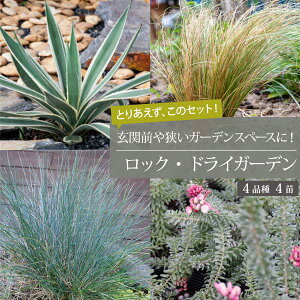 bNK[fZbg mBn{4i 4Zbg 15-18cm|bg S [eiX hCK[fmGMn