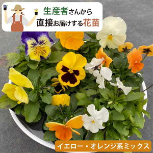 m11/11蔭Jnnԕt ԎႤIYҒIpW[ ԕc CG[EIWn (3 9cm|bg) ~ Ԓd v ܂Ƃߔ _ƒ [HM]