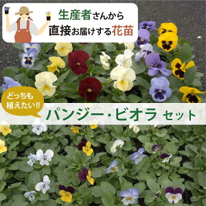 pW[ƃrI ԕc e1224 J[~bNXi3F4jZbg (3 9cm|bg) ~ Ԓd v ܂Ƃߔ _ƒ [HM]