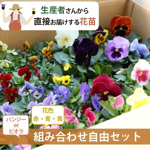 y2ނ̃J[nIׂIz 24Zbg rI ԕc (3 9cm|bg) e12|bgIԁEEn@ ԕt ԎႤIYҒI~ Ԓd v ܂Ƃߔ _ƒ [HM]