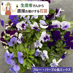 n u[n rI ԕc Fn u[   p[v(3 9cm|bg) ԕt ԎႤIYҒI~ Ԓd v ܂Ƃߔ _ƒ [HM]