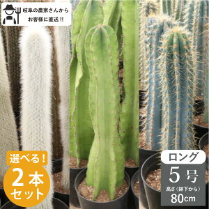 Iׂ2ZbgI@T{e@O^Cvi80cmj@5@1@iᒌESʊtEAYEXjVzj ^@CeA@@zj@A@ _꒼mG