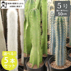 Iׂ5ZbgI@T{e@V[g^Cvi50cmj@5@1@iᒌESʊtEAYEXjVzj ^@CeA@@zj@A@ _꒼