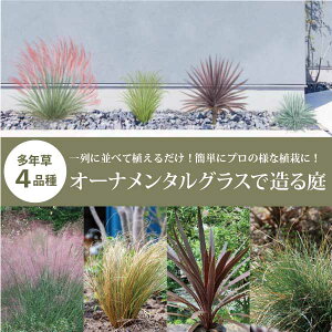 ׂK[fXy[XɁII[i^OXmleefnVz@O\@GNXeA@ S [eiX mGMn