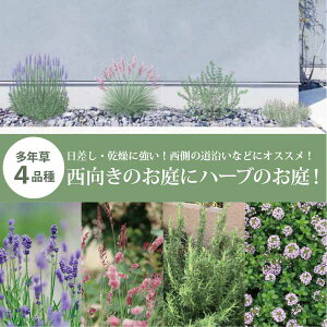 ׂK[fXy[XɁĨXy[X n[umherbnVz@O\@GNXeA@ S [eiX mGMn