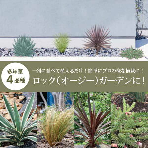 bNK[fZbgmFnׂK[fXy[XɁIbNK[fmrocknVz@O\@GNXeA@ S [eiX hCK[fmGMn