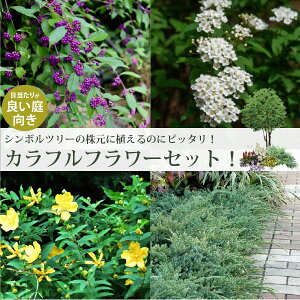 V{c[̊ɁIijԂy߂I4iiv6|bgjZbgRTLERf}EqyJqfEnCrNVmIOn