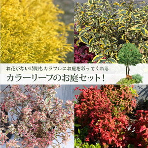 V{c[̊ɁIi`AjJ[[t4iiv8|bgjtBtFI[AEO~MhGbWEAxARtFbeBEI^tNiemIOn