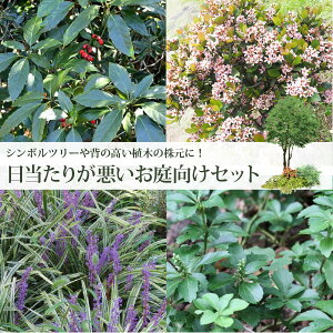 V{c[̊ɁIiA`邢AjԂy߂I؂ƃOhJo[4iiv8|bgjZbgAILEqVoCE胄uEtbL\EmIOn