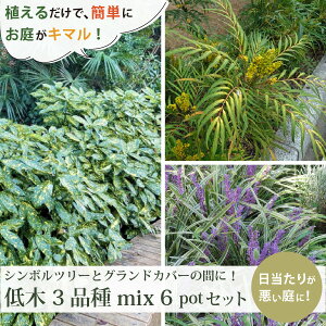 V{c[̊ɁIiA`邢Aja3iiv6|bgjZbgAILE}zjARt[TE胄u@VF[hK[f mIOn