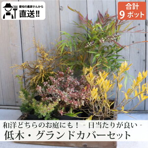 mYҒn₷4iƃOhJo[ZbgI肪ǂi`ȂqN`iVEAxARtFbeBE}zjAEtBtFI[AEu[pVtB