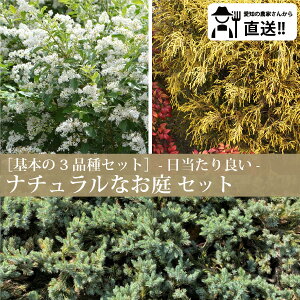 mYҒn肪ǂi`Ȃ@{̃ZbgVo[vybgEtBtFI[AEu[pVtBbNmIOn