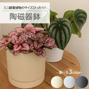 m~jϗtA̕c wҌIn픫@󂯎Mt@ꌊ@@CeAO[@Aؔ@JCC@@minan