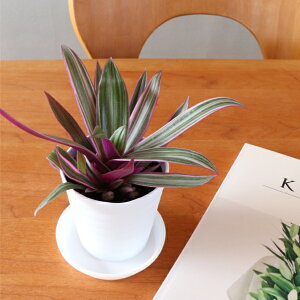 mYҒnTLIgiNj 1|bgZbg ȔvZbg CeAO[ Mtgɂ iina) @ϗtA@@VL@GI