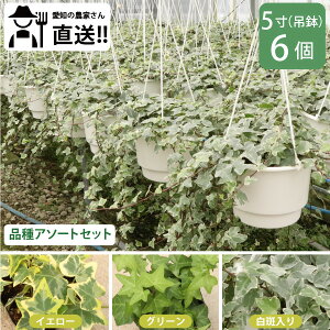 wf_Ƃ蒼ڂ͂I傫ڒ݂蔫@56Zbg@3iA\[gZbgnA CeAO[ ϗtA mxeB A 񂹐A ACr[ OhJo[