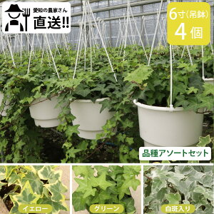 wf_Ƃ蒼ڂ͂I傫ڒ݂蔫@64Zbg@3iA\[gZbgnA CeAO[ ϗtA mxeB A 񂹐A ACr[ OhJo[