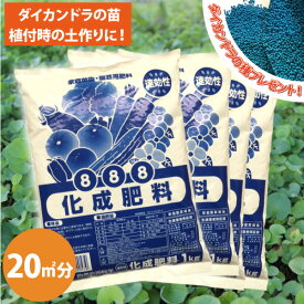 [自然応用科学] 化成肥料8-8-8　4kg 4袋セット ダイカンドラの植え付け時の土作りに！ [000400-4set・000400-tane]