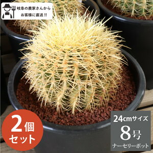 LV`@V`@́@T{e 8@2Zbg@Vzj ^@CeA@@zj@A@ _꒼mGn@lC@@I@bNK[f@h