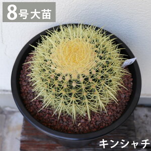 LV`@V`@́@T{e 8@1@Vzj ^@CeA@@zj@A@ _꒼mGn@lC@@I@bNK[f@hCK[