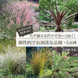 mIȕinA邾łȌIȑp̂Zbg 5i 5cZbg 15cm|bgc c@   h N YҒ ֑O [GM]