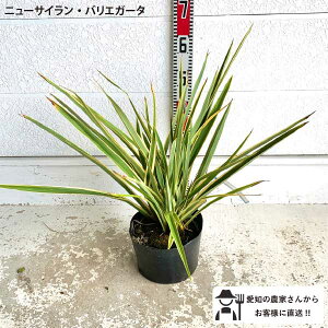 j[TC@@0.5m@ 劔@؁@c؁@A@lC@bNK[fmtn