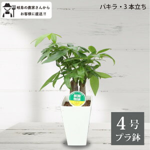 pLi3{j4@v@ϗtA@@Vzj ItBXɂ@ _꒼ @CeA@j@v[g@Sҁ@b@lC@ԁ@Ă₷@JXj