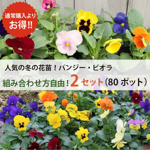 pW[ƃrI@2Zbgł ԕc  lC̏H~̉ԕc4i@2Zbgi80|bgj(3 3 9cm|bg) ~̉Ԓd ~ t܂ s  nA A S [H]