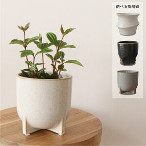 mYҒnyy~A@veI[^@ Iׂ铩̔Zbg CeAO[ Mtgɂ @ϗtA@@@Sҁ@j[N@[A @JXj@j