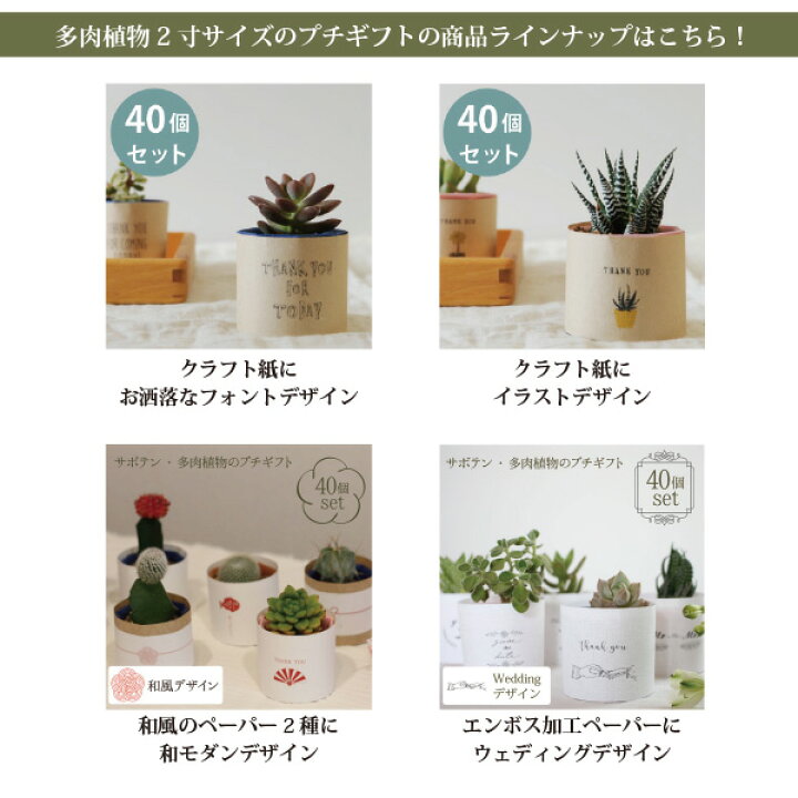 楽天市場 プチギフト 多肉植物 セット 40個 お洒落なイラストデザイン 植物 ラッピング ギフト おしゃれ プレゼント ノベルティ 結婚式 二次会 ウェディング 披露宴 オシャレ お洒落 ナチュラル 送料無料 シンプル 産休 挨拶 お配り 退職 敬老会 祝賀会 開店祝い 0円