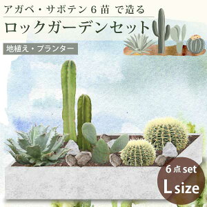 AKxET{eő郍bNK[fZbg 6i mLTCYnv^[@nAǂł YҒ