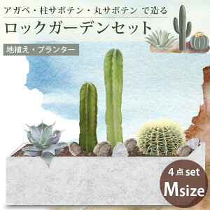 AKxET{eő郍bNK[fZbg 4i mMTCYnv^[@nAǂł YҒ