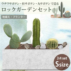 rock-g-s-1.jpg?fitin=272:272